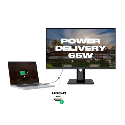 6. 60,5 cm japanische Kamera JN-IPS238FHDR-C65W-HSP 16:9 HDMI/DP FHD