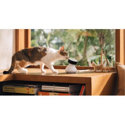 3. Petlibro Scout Smart Camera Dome IP-Sicherheitskamera für den Innenbereich, 1920 x 1080 px, für Decke/Wand/Tisch