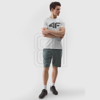 5. T-Shirt 4F M 4FWSS24TTSHM1155 10S