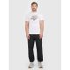 3. Herren-T-Shirt mit Aufdruck, regulär, Größe 4F 4FRAW25TTSHM3612-10S
