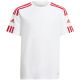 17. adidas Squadra 21 Trikot Jugend Jr GN5741
