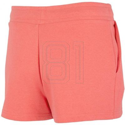 2. Shorts 4F W H4L22 SKDD350 63S