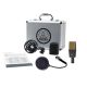 2. AKG C414 XLII Mikrofon - Großmembran-Kondensatormikrofon mit variablen Eigenschaften