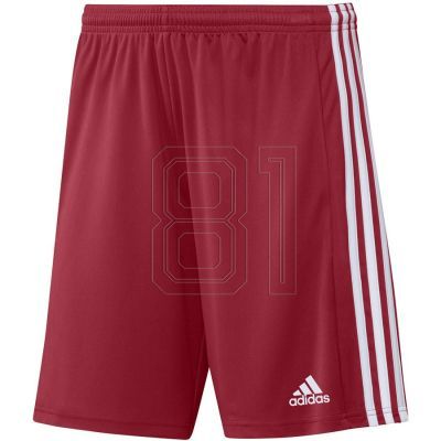 Adidas Squadra 21 Short Youth Jr Shorts GN5761