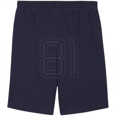 2. Puma teamGOAL Casuals M shorts 658608 06