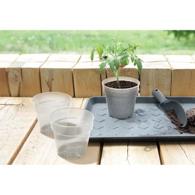 3. PLANTI-TOPF TRANSPARENT 12CM