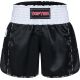 3. TOP TEN KicksOff Kickbox-Shorts (WAKO-ZERTIFIZIERT)