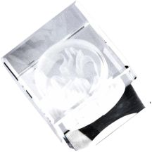 Glastrophäe mit 3D-Gravur