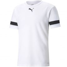 Puma teamRISE Trikot M 704932 04