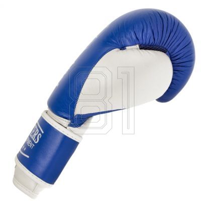 15. MASTERS RBT-TRW 01210-02 Leder-Boxhandschuhe