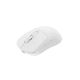 Gaming-Maus Fury Tanto T4 12000 DPI RGB, weiß, kabellos