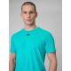 5. Schnelltrocknendes Herren-Trainingsshirt (Standardgröße) 4F 4FRSS26TFTSM2343-11M