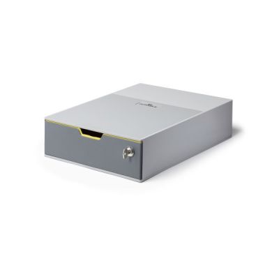 Robuste Dokumentenaufbewahrungsbox VARICOLOR, Kunststoff, Grau