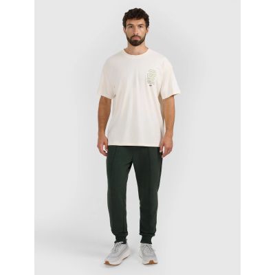 4. Herren-Jogginghose 4F 4FRAW25TTROM1671-40M