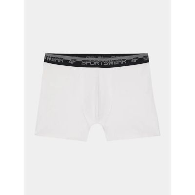 4. Boxershorts 4F M 4FWSS24UBXSM036-10S