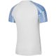 4. Nike Dri-FIT Academy Jsy SS M DH8031 102 T-Shirt