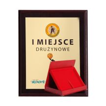 Kunststoffdiplom mit farbiger Touch-Laminierung + Etui 275 x 220 mm