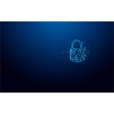 5. Kingston Technology IronKey Vault Privacy 50 USB-Stick 64 GB USB Typ-A 3.2 Gen 1 (3.1 Gen 1) Schwarz, Blau