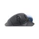 5. Logitech ERGO M575 Business-Büromaus, kabellos (RF) + Bluetooth-Trackball, 2000 DPI