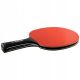 3. Tischtennisschläger Donic Schildkröt CarboTec 900 – MTS758219