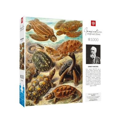 3. Good Loot Fantasie-Puzzle: Ernst Haeckel Chelonia – Meeresschildkröten, 1000 Teile
