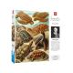3. Good Loot Fantasie-Puzzle: Ernst Haeckel Chelonia – Meeresschildkröten, 1000 Teile
