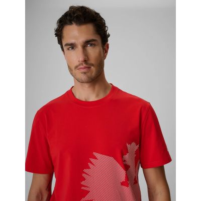 5. Herren-Baumwoll-Fächer-T-Shirt 4F 4FRSS26TTSHM4200-62S