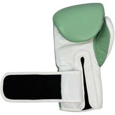5. MASTERS RBT-PASTEL grüne Boxhandschuhe