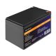9. Qoltec LiFePO4 Lithium-Eisenphosphat-Batterie 12,8 V 12 Ah 153,6 Wh BMS