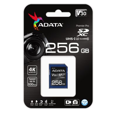 2. ADATA Premier Pro SDXC 256 GB Klasse 10 UHS-I/U3 V30