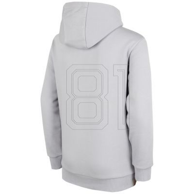 2. Sweatshirt 4F Jr HJZ22 JBLD003 27S