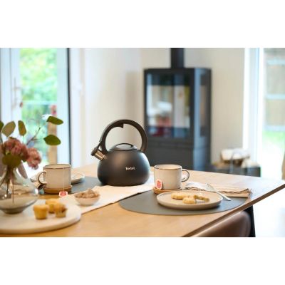 2. TEFAL N4180410 nicht elektrischer Wasserkocher