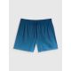 5. Herren-Boardshorts 4F 4FWSS26UBDSM168-46S