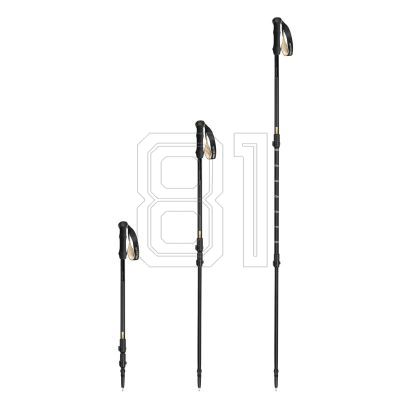 4. Spokey Trail trekking poles SPK-944827