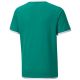 2. Puma teamLIGA Trikot Jr 704925 05