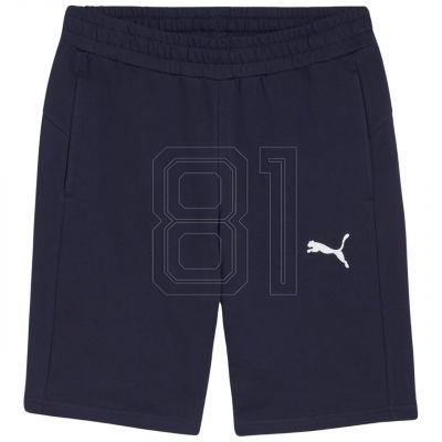 Puma teamGOAL Casuals M shorts 658608 06