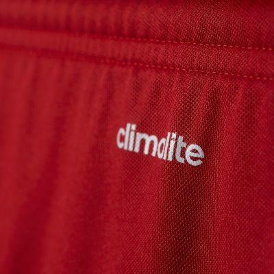 4. Adidas PARMA 16 SHORT M AJ5881 Fußballshorts