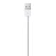 4. Apple Lightning-auf-USB-Kabel (1 m)