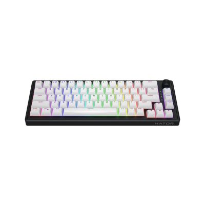 14. HATOR Skyfall 65 MAG ULTRA 8K Gaming-Tastatur USB QWERTY US Englisch Schwarz, Weiß