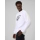 8. Herren-Sweatshirt ohne Reißverschluss und Kapuze 4F 4FRAW25TSWSM2493-10S