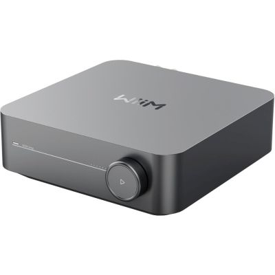 4. WiiM Amp Pro Dunkelgrau - Verstärker
