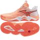 Mizuno WAVE MOMENTUM ELITE V1GA251280 Schuhe