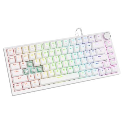 8. SAVIO MECHANISCHE TASTATUR ASTRAL WHITE OUTEMU WHITE JADE RGB