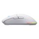 HATOR Pulsar 3 Kabellose Gaming-Maus, beidhändig bedienbar, Funkfernbedienung + Bluetooth + USB Typ-C, optisch, 12000 DPI
