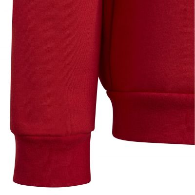 5. Adidas Entrada 22 Sweat Jr Sweatshirt H57473