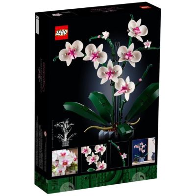 9. LEGO Icons 10311 - Orchidee