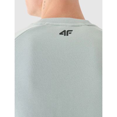 5. Sweatshirt 4F M 4FWAW24TSWSM1255-25S