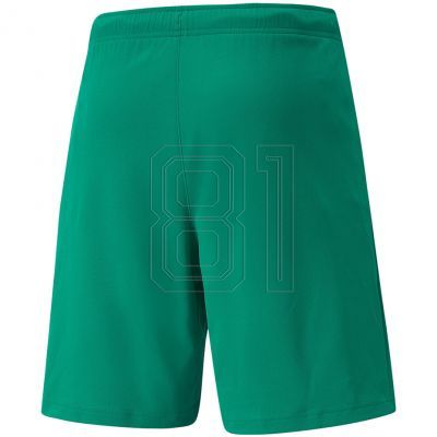 2. Puma teamRISE Shorts M 704942 05