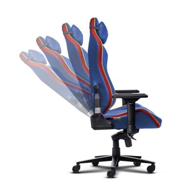 5. TRUST GXT 721SM Ruya Pro Premium Gaming-Stuhl
