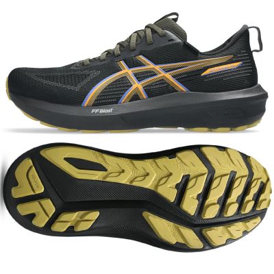 Asics GT-1000 14 GTX M 1011C078 001 Laufschuhe